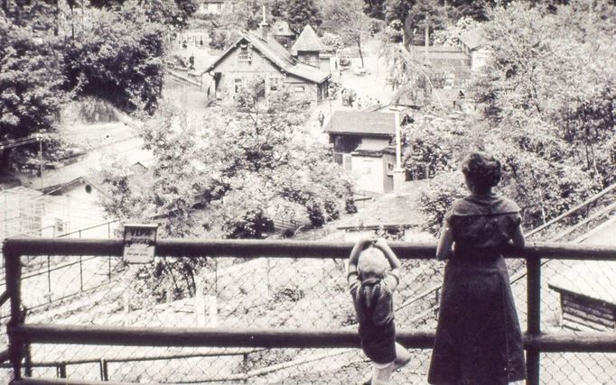 ZOO Liberec slaví 120 let od svého vzniku. Podívejte se na historické momenty a vývoj nejstarší zoologické zahrady v českých zemích od jejího založení v roce 1904.