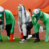 Fanoušci v NFL: Miami Dolphins