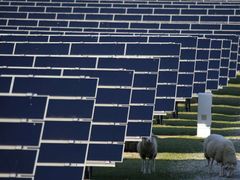 Solární elektrárny se díky šikovné manipulaci a zřejmě i podvodům staly v Česku nikoli symbolem zelené energie, ale symbolem zla.