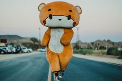 Stovky kilometrů v kostýmu medvěda. Muž vyrazil pěšky z Los Angeles do San Franciska