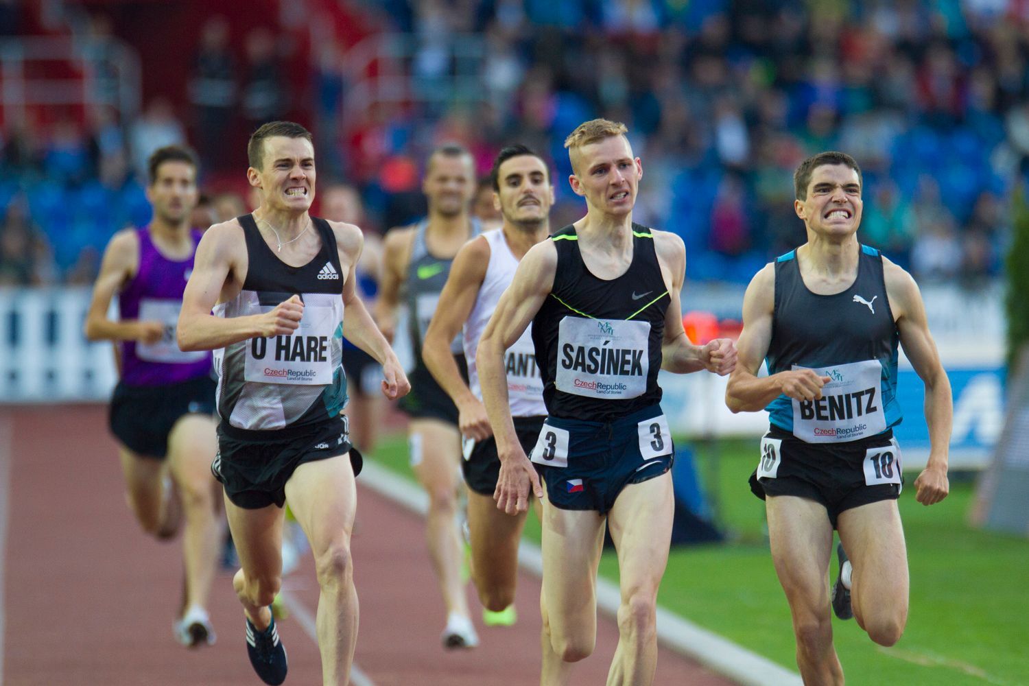 Zlatá tretra 2016: Filip Sasínek - 1500 m