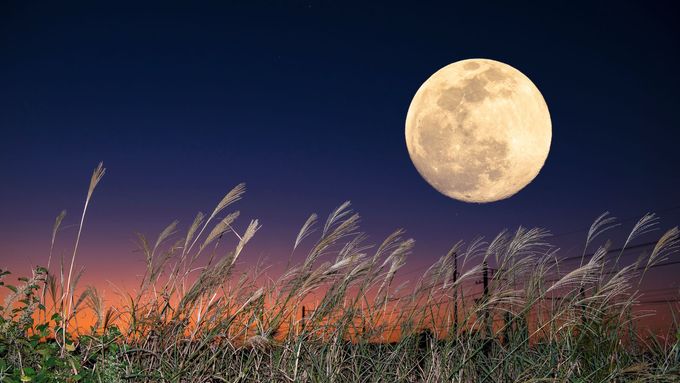 V říjnu nás kromě superúplňku čekají také meteorické roje.