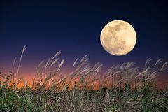 Komety, padající hvězdy i superúplněk. Říjnová obloha slibuje velkolepou podívanou