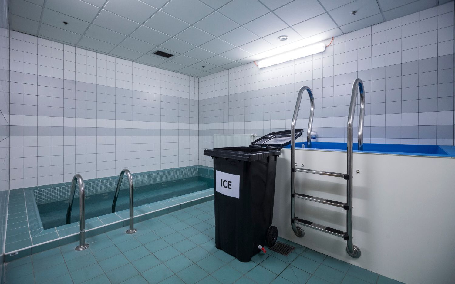 MS 2015: česká kabina v O2 areně