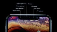 Apple vedle menší verze s úhlopříčkou 5,8" začne prodávat také variantu Max, která má obrazovku s úhlopříčkou 6,5". iPhone Xs max je tak větší než například Galaxy Note 9 od Samsungu. Oba iPhony řady Xs mají duální fotoaparát s novým snímačem, který je schopný zachytit větší množství světla bez zvýšení hladiny šumu na výsledných obrázcích. 

Třetím novým iPhonem je model iPhone Xr, který má oslovit spořivější zákazníky. Od dražších modelů se liší technologií displeje a výbavou. iPhone Xr používá 6.1" LCD panel s nižším rozlišením 1792 x 828 s označením Liquid Retina.