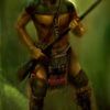 Age of Empires III: The WarChiefs