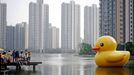 People look at a six-meter-tall aired Rubber Duck, funded by the local community, floating in a lake of a residential block in north China's Tianjin Municipality Saturday June 1, 2013.