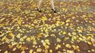 A woman walks on a pavement covered with autumn leaves in central Minsk, October 3, 2012. REUTERS/Vasily Fedosenko (BELARUS - Tags: ENVIRONMENT SOCIETY) Published: Říj. 3, 2012, 1:27 odp.