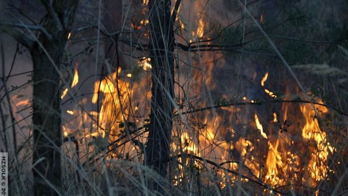 Hasiči bojují s požárem lesa u Přemyslovic.