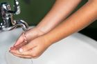 Spotřeba vody v Česku loni klesla, i proto letos zdraží. Ranní zalévání ušetří peníze