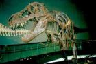 Brazilci objevili nového dinosaura