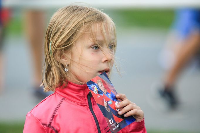 Plzeň-Ústí.n.L.: fanoušci