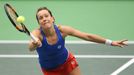 Fed Cup 2017: Barbora Strýcová