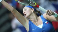 PETRA KVITOVÁ - TENIS             Vůdčí postava českého fedcupového týmu, i když ve finále proti Srbsku ji vydatně pomohla Lucie Šafářová. Drží se stále ve světové desítce žebříčku WTA, ačkoliv ji pronásledovaly zdravotní problémy.