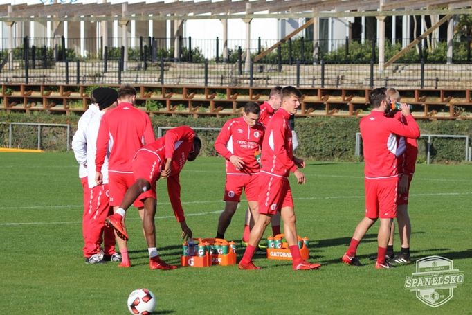 Fotbalisté Slavie už trénují v prosluněném Španělsku