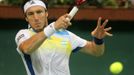 Juan Monaco vs Radek Štěpánek: semifinále Davisova poháru 2013