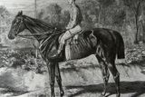 ... ve skutečnosti byl Fantome vůbec prvním vítězem v historii Velké pardubické. S žokejem Sayersem zvítězili v roce 1874 poté, co si nejlépe poradili se všemi překážkami, byť pozdější Taxisův příkop nepřeskočili, nýbrž prolezli. Kůň v majetku německého barona von Cramma později zahynul v tréninku a byl údajně pohřben v blízkosti berlínského závodiště Hoppegarten.