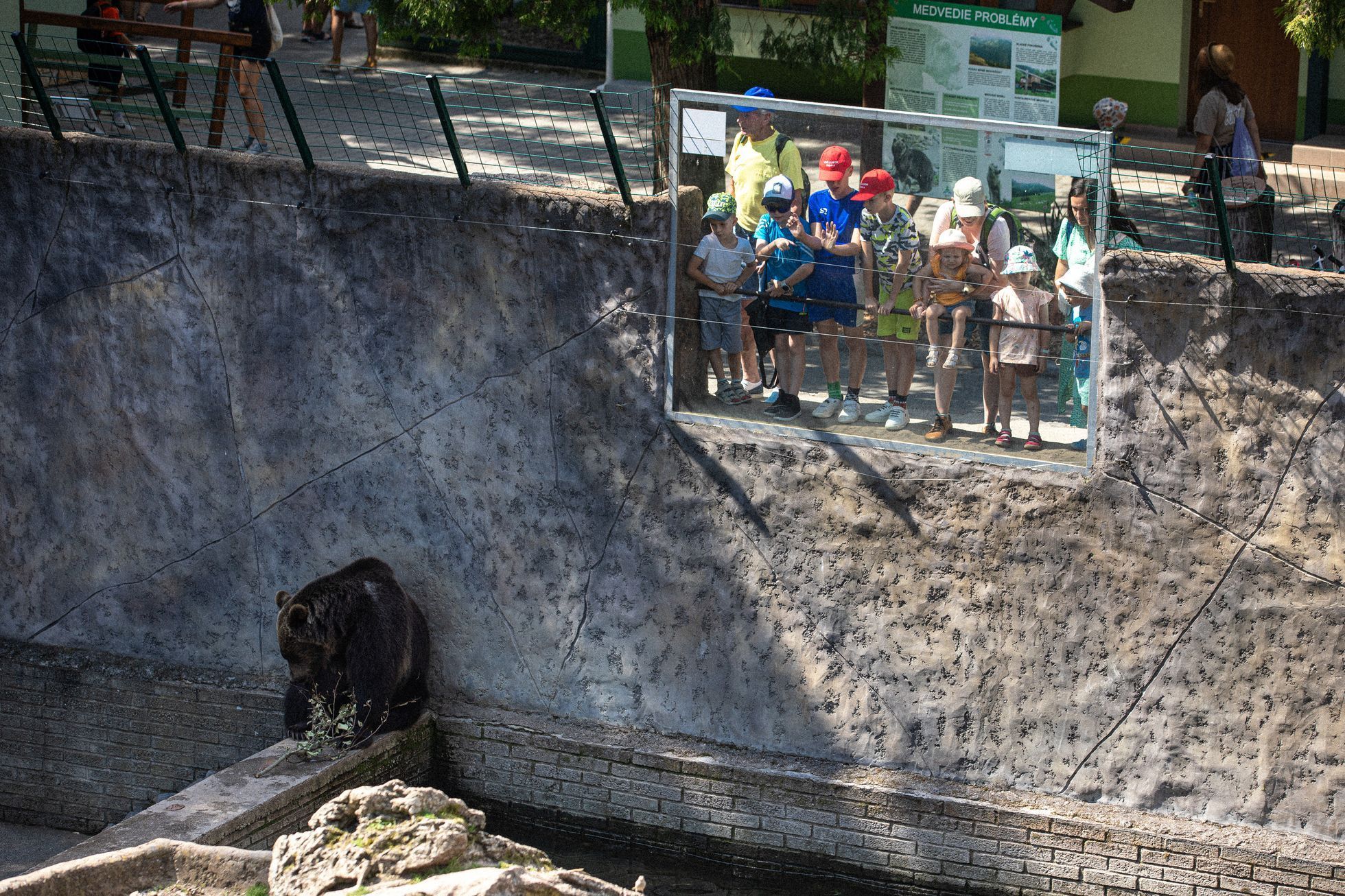 Slovensko a medvědi - zoo Bojnice a Mosty u Jablunkova