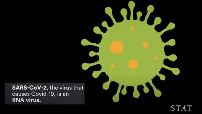 Virus SARS-CoV-2.