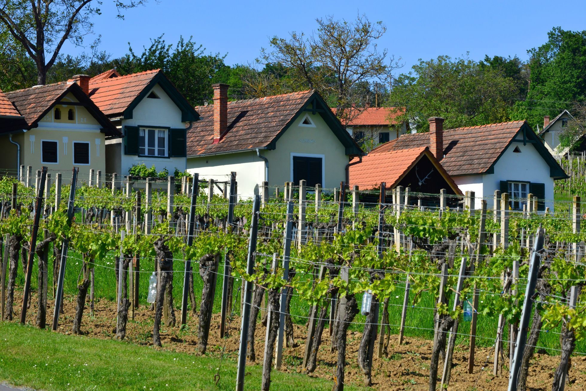Burgenland, Rakousko