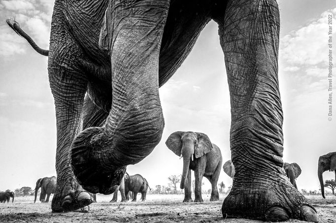 Fotografie oceněné na mezinárodní soutěži Travel Photographer of the Year 2022