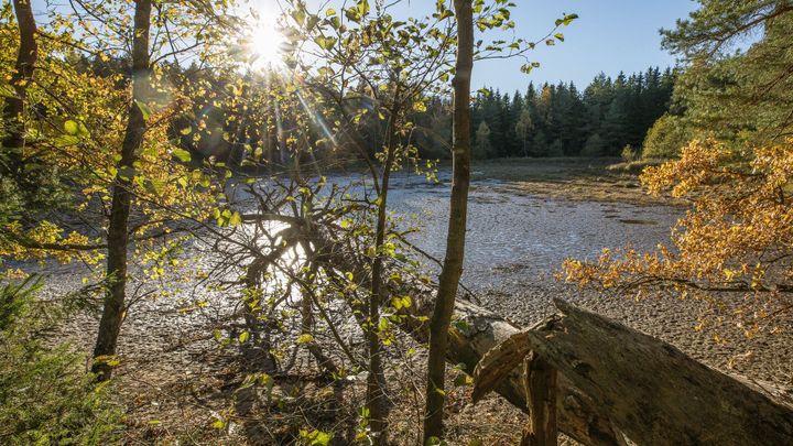 Přes týden bude v Česku zataženo a z počátku i teplo, ochladí se o víkendu; Zdroj foto: Jakub Plíhal