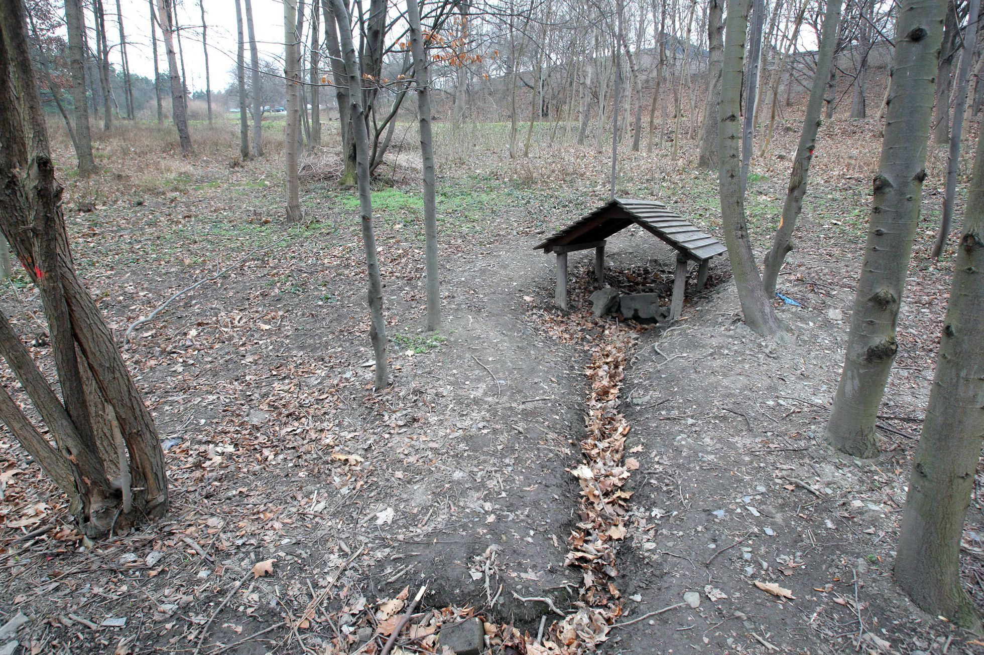 Pražské studánky