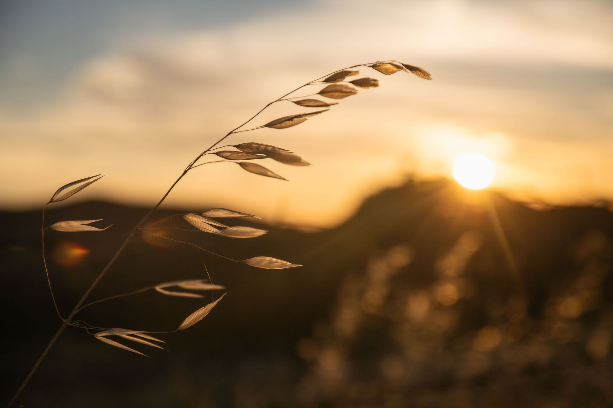 Lesbos turistické tipy, turismus, historie, antické památky, akvadukt, zkamenělý les UNESCO