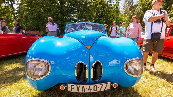 Podle pořadatelů se letošního srazu zúčastnilo 1026 registrovaných veteránů. Podívejte se na některé z nich