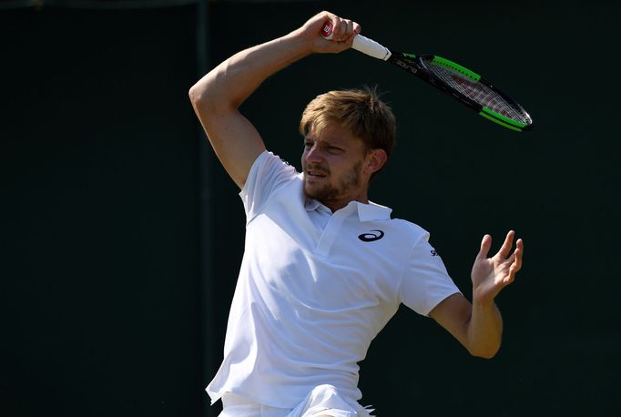 David Goffin na Wimbledonu 2018