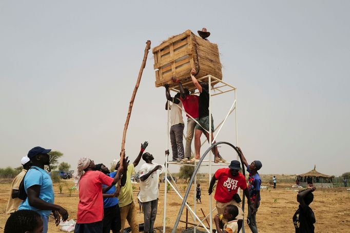 Kruhové zahrady Tolou Keur v Senegalu.