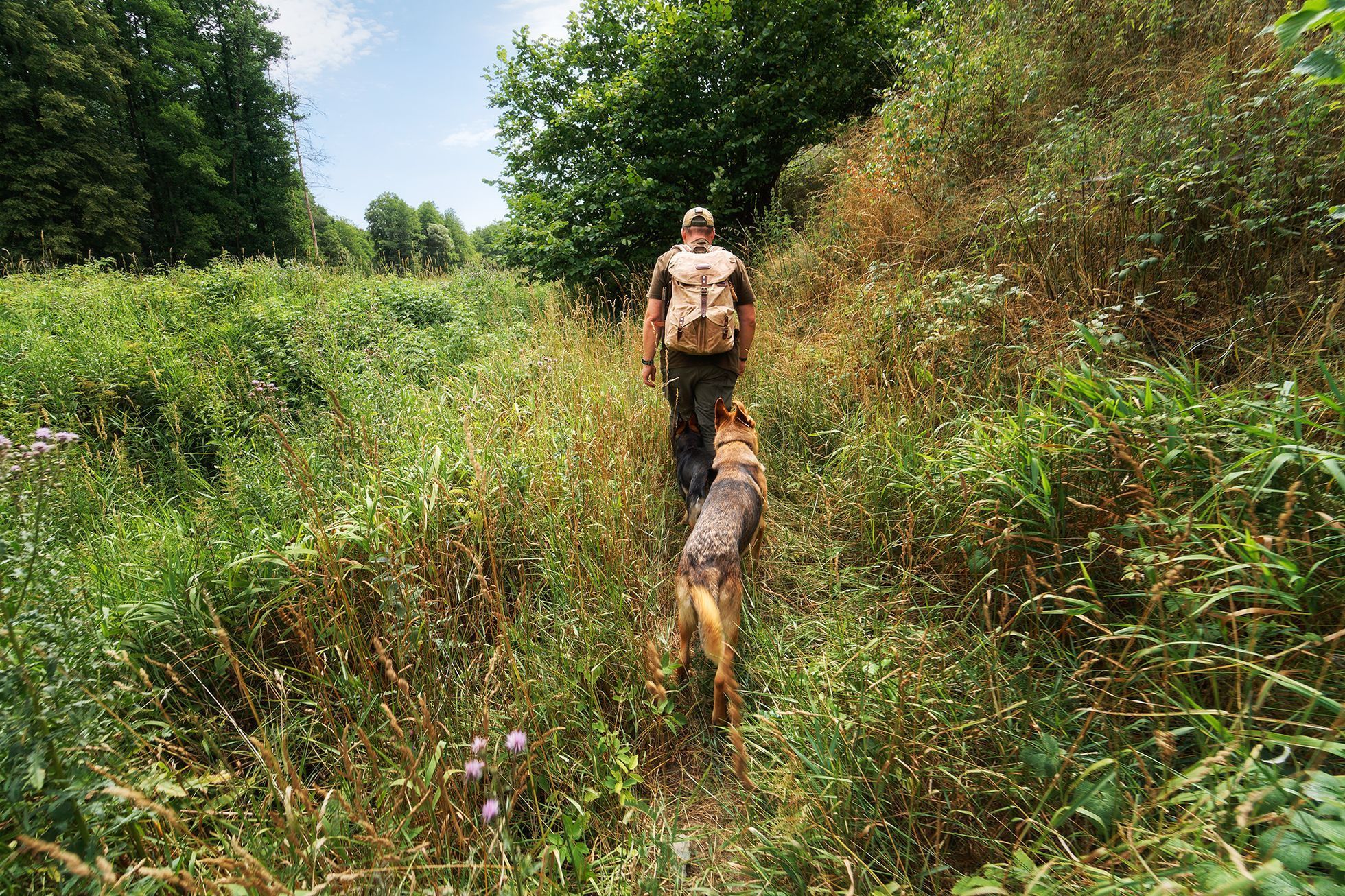 Bushcrafting, zálesáctví, pobyt v přírodě, les, bushcraft, Tomáš Krákora, kurz přežití