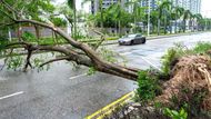 Spadlý strom blokuje silnici ve čtvrti Tseung Kwan v Hongkongu, který zasáhl supertajfun Ragasa.