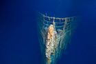 Potápěči pořídili po 14 letech nové snímky Titaniku, vrak se na dně oceánu rozpadá