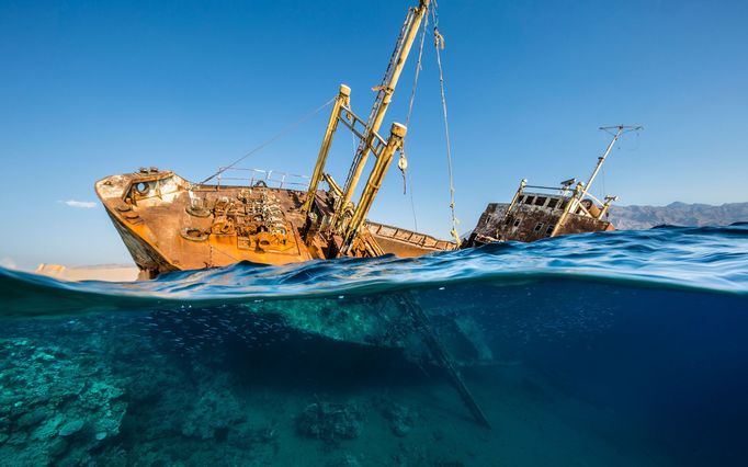 Underwater Photographer of the Year 2020 - vítězné fotografie