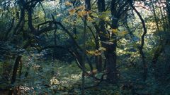 Top foto 2024: Daniel Poláček. Ukázky z volné tvorby