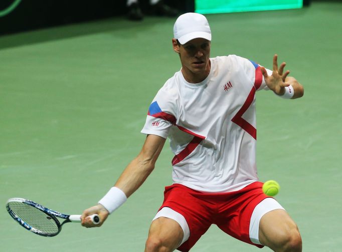 Davis Cup - Česko vs. Nizozemí (česká radost)