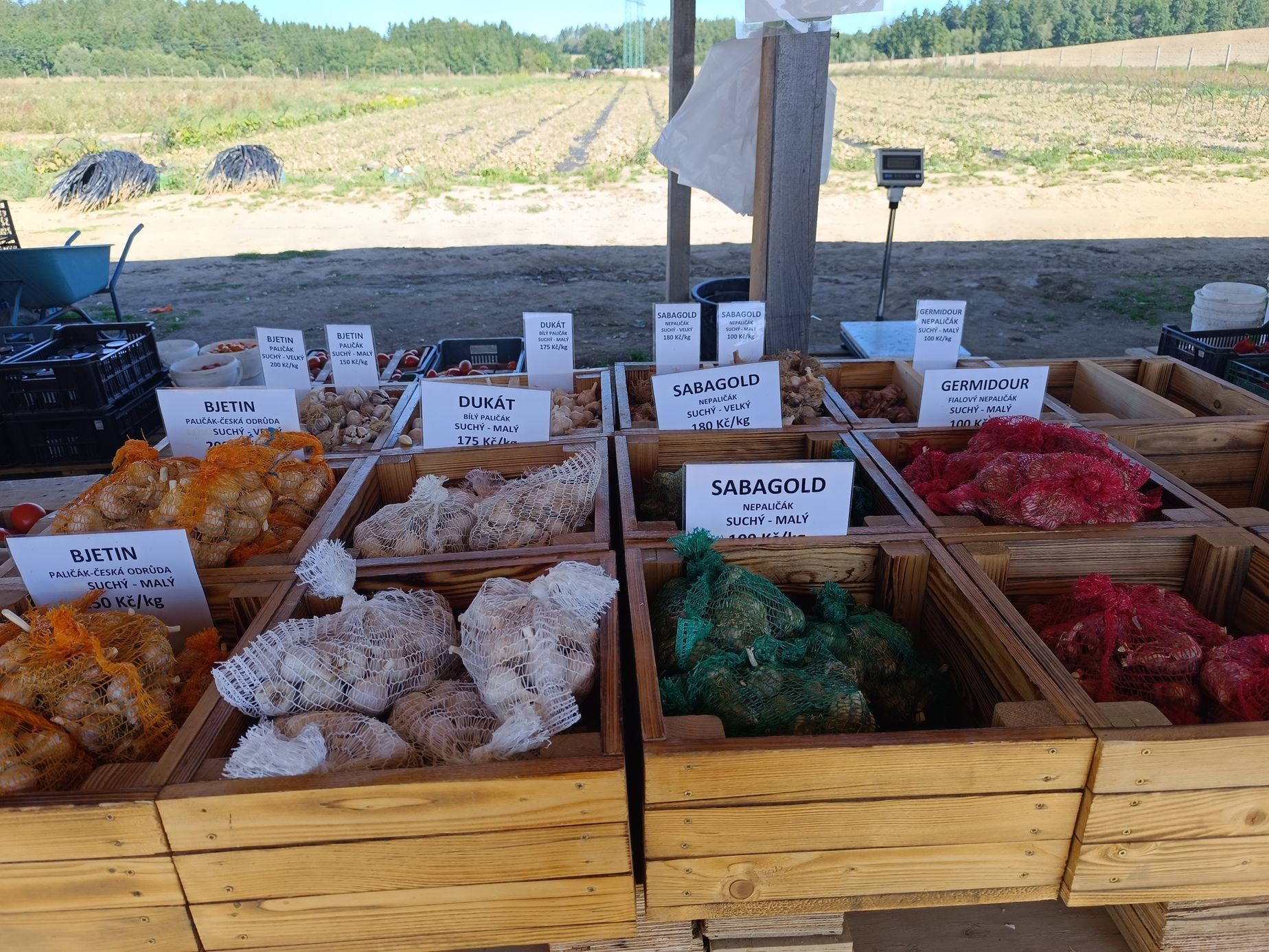 Farma Pech