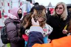 Psi a kočky v dekách i kusech oblečení. Ukrajinci prchají přes hranice i s mazlíčky