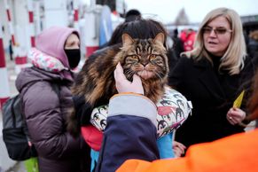 Psi a kočky v dekách i kusech oblečení. Ukrajinci prchají přes hranice i s mazlíčky