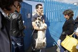 Pes zachráněný. Rumunsko schválilo zabíjení toulavých psů. Aktivisté vyzvali lidi k adopci psů z rumunských útulků, aby je tak zachránili před smrtí. Tento mladík si právě jednoho z nich odnáší z jednoho z bukurešťských útulků.