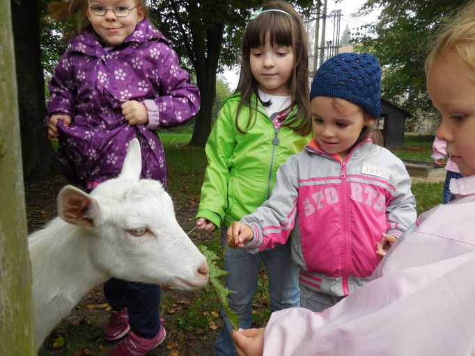 Podzimní tráva mi nechutná! Foto: Uršula Kuliková