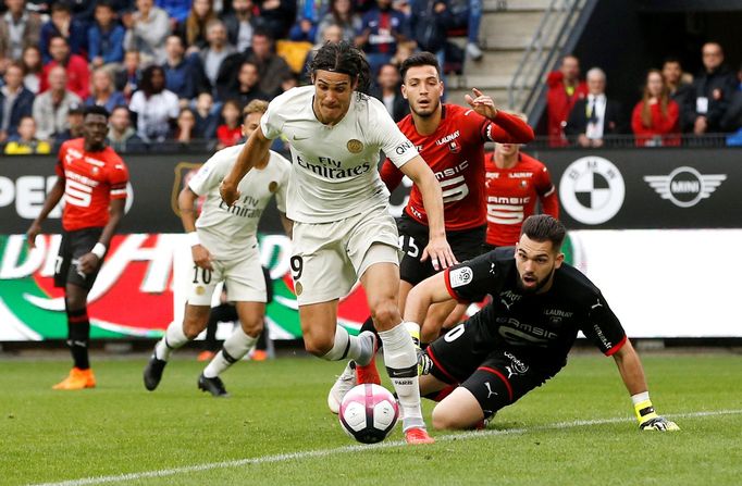 fotbal, francouzská liga 2018/2019, Rennes - Paris St. Germain, Tomáš Koubek a Edinson Cavani