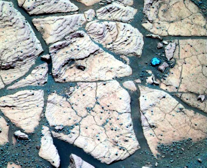 'Berries' and Rock Share Common Origins 3/18/04 This false-color composite image, taken at a region of the rock outcrop dubbed "Shoemaker's Patio" near the Mars Exploration Rover Opportunity's landing site, shows finely layered sediments, which have been accentuated by erosion. The sphere-like grains or "blueberries" distributed throughout the outcrop can be seen lining up with individual layers. This observation indicates that the spherules are geologic features called concretions, which form in pre-existing wet sediments. Other sphere-like grains, such as impact spherules or volcanic lapilli (fragments of material between 2 and 64 millimeters or .08 and 2.5 inches in maximum dimension that are ejected from a volcano) are thought to be deposited with sediments and thus would form layers distinct from those of the rocks. This image was captured by the rover's panoramic camera on the 50th martian day, or sol, of the mission. Data from the camera's infrared, green and violet filters were used to create this false-color picture. Image Credit: NASA/JPL/Cornell