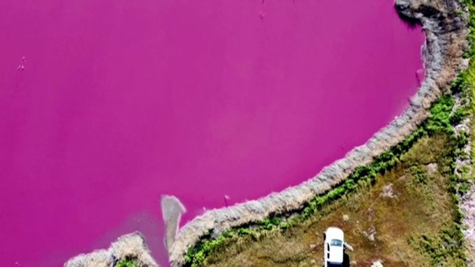 Dvě jezera v argentinském regionu Patagonie zrůžověla