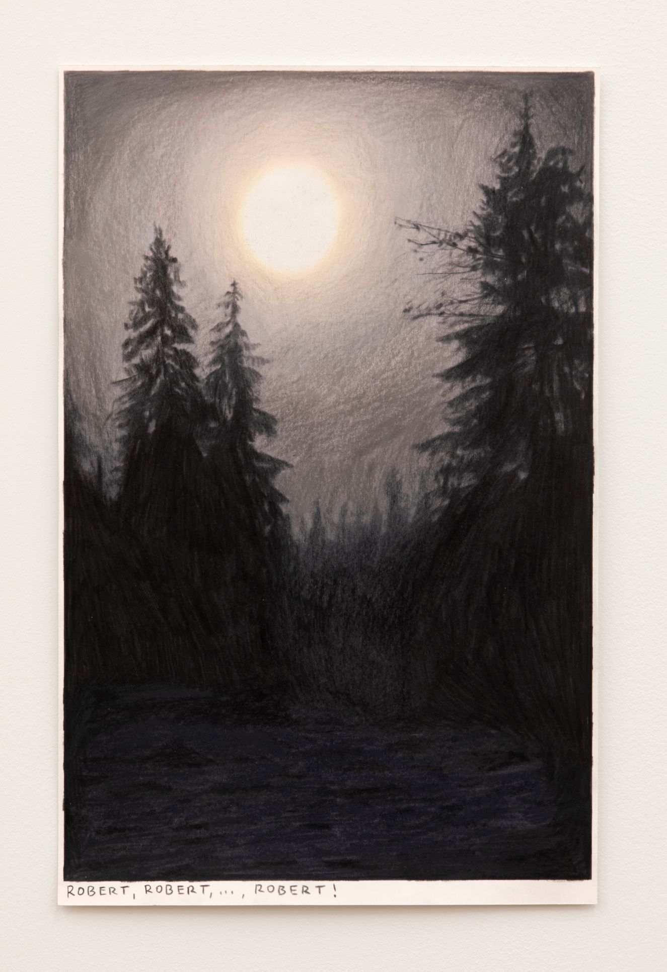 Rinus van de Velde: Robert, Robert, ..., Robert!