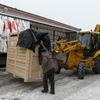 Transport zvířat z královédvorské zoo