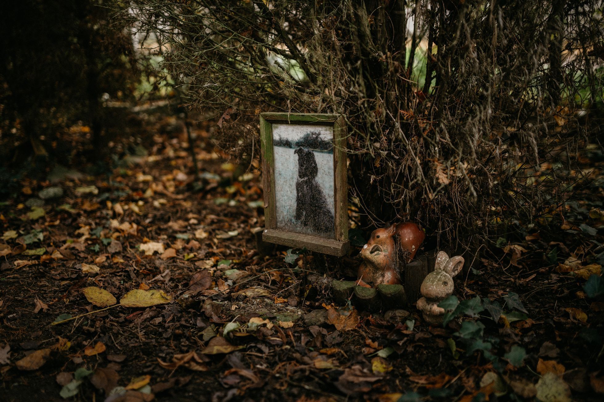 hřbitov Bohnice hřbitov bláznů