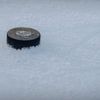 NHL: Winter Classic-Practice Day