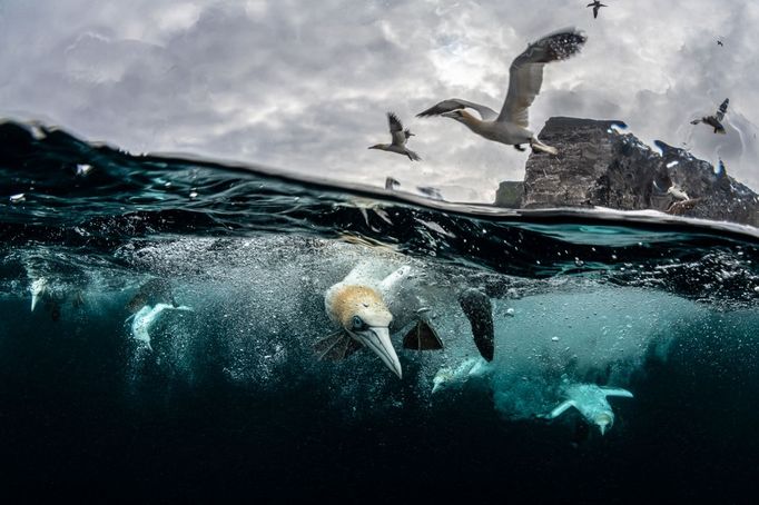 Vítězné snímky ze soutěže Siena International Photo Awards 2022